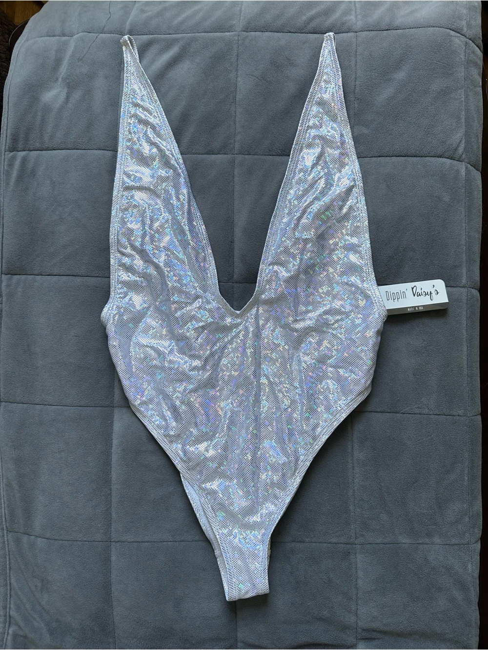 Dippin' Daisy's Iridescent Silver Plunging V-Neck Swim/Bodysuit